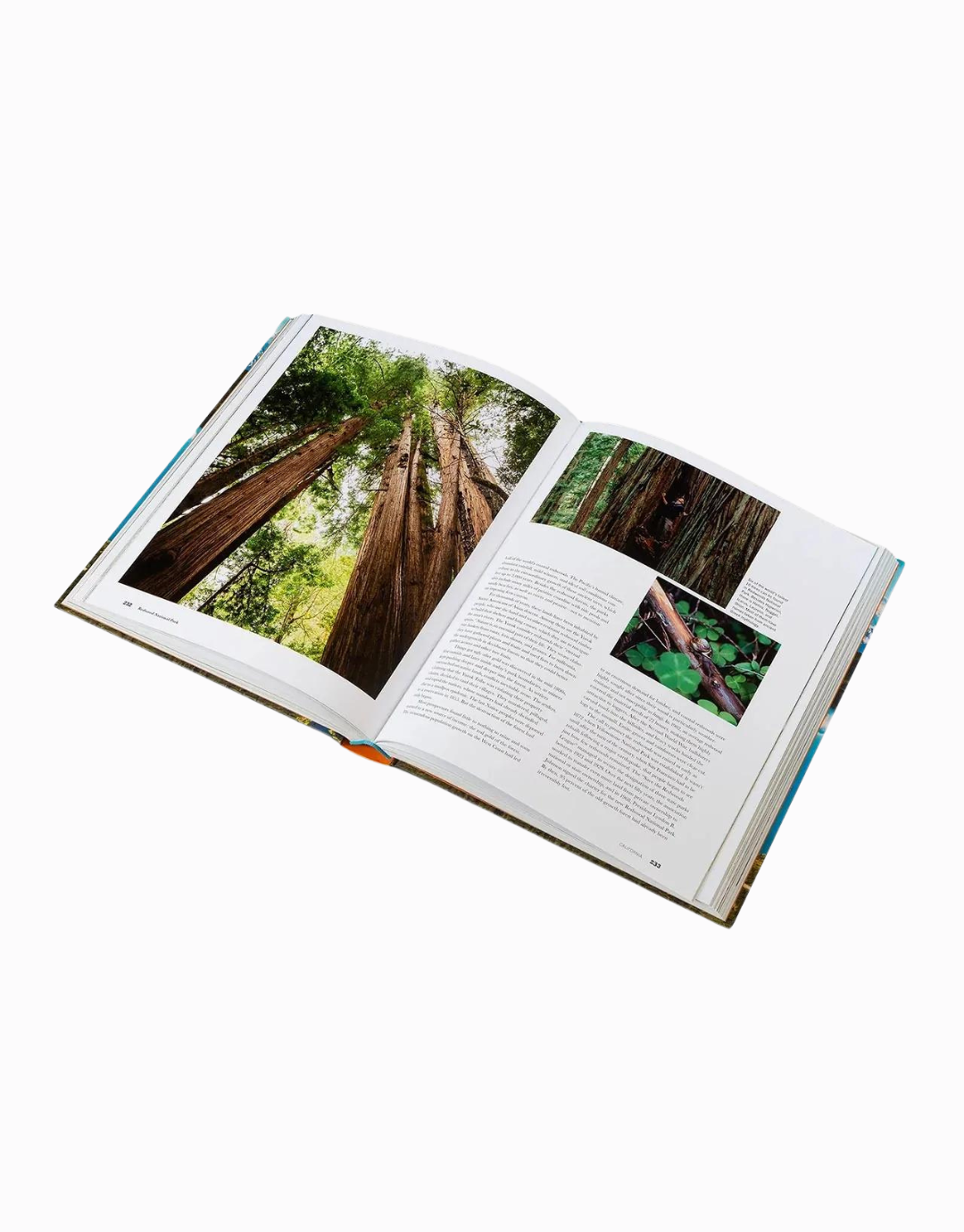 The Parklands Book