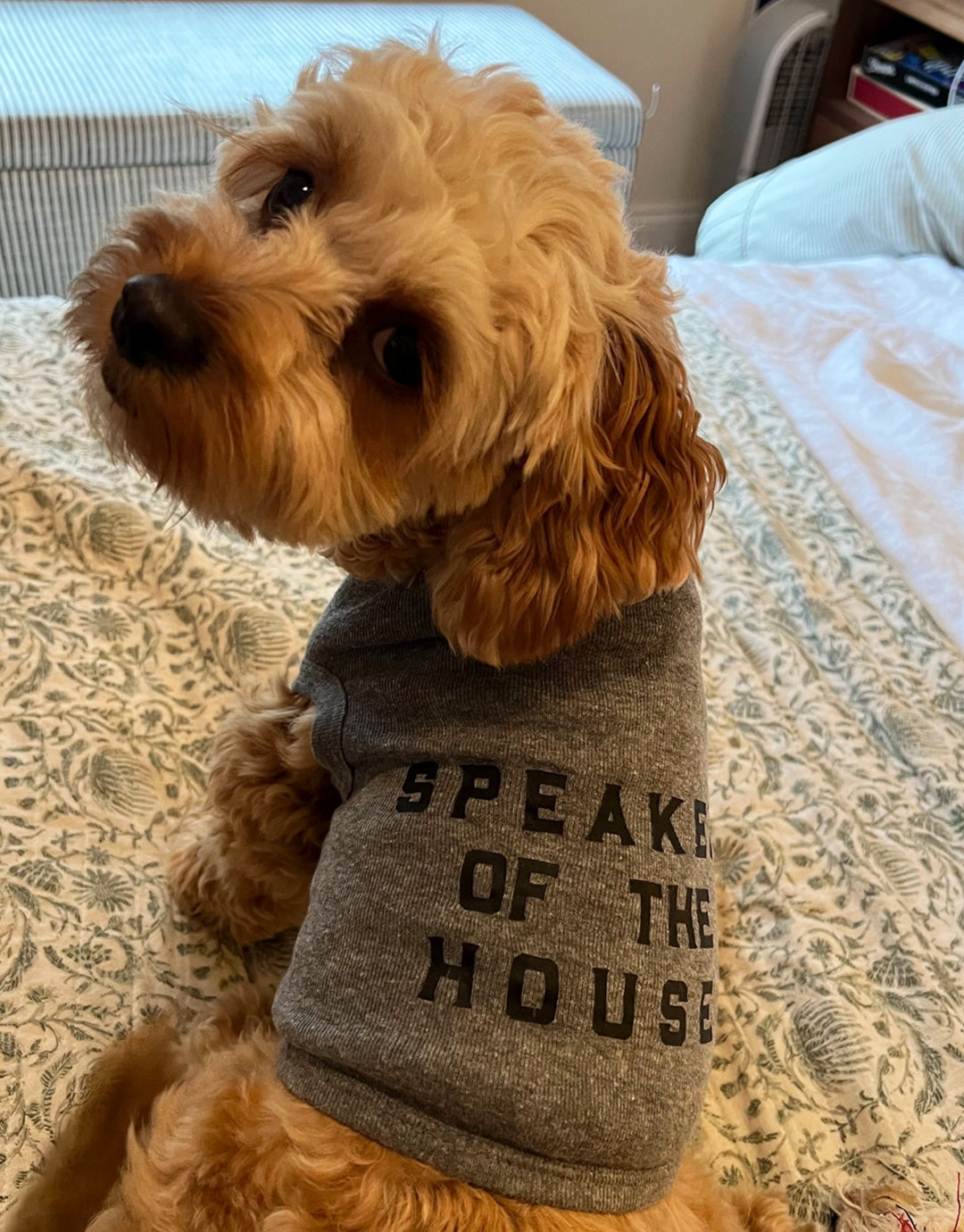 Speaker of the House Dog Sweater